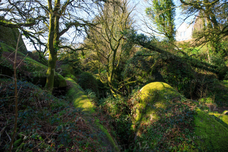 FRance, région Bretagne, Finistère, Huelgoat, les rochers, cahos de huelgoat,