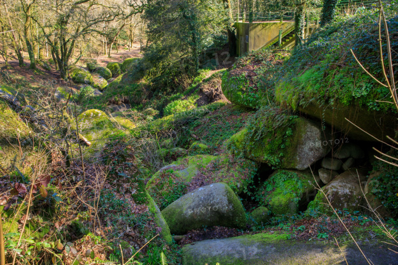 FRance, région Bretagne, Finistère, Huelgoat, les rochers, cahos de huelgoat,