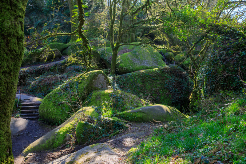 FRance, région Bretagne, Finistère, Huelgoat, les rochers, cahos de huelgoat,