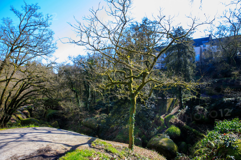 FRance, région Bretagne, Finistère, Huelgoat, les rochers, cahos de huelgoat,