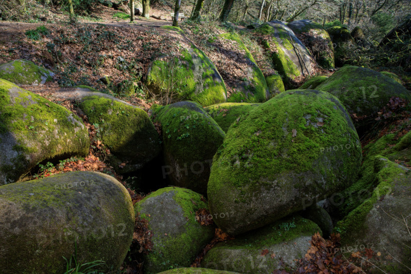 FRance, région Bretagne, Finistère, Huelgoat, les rochers, cahos de huelgoat,