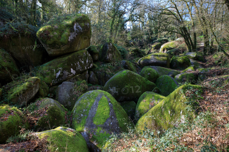 FRance, région Bretagne, Finistère, Huelgoat, les rochers, cahos de huelgoat,
