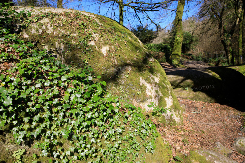 FRance, région Bretagne, Finistère, Huelgoat, les rochers, cahos de huelgoat,