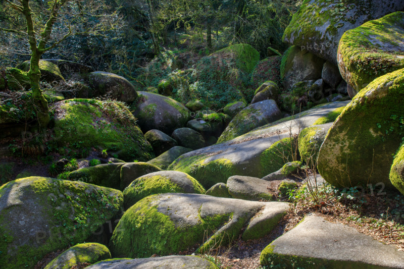 FRance, région Bretagne, Finistère, Huelgoat, les rochers, cahos de huelgoat,