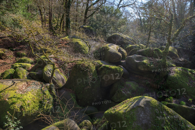 FRance, région Bretagne, Finistère, Huelgoat, les rochers, cahos de huelgoat,