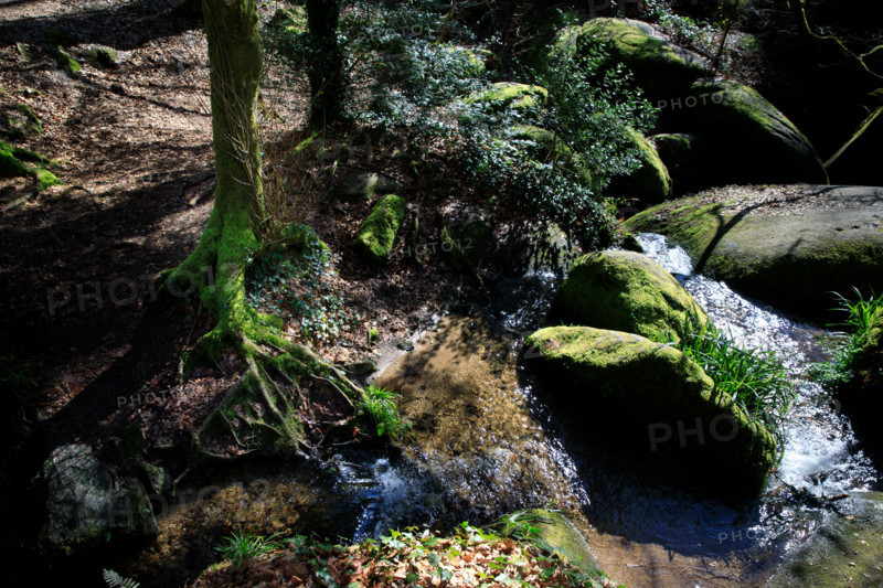 FRance, région Bretagne, Finistère, Huelgoat, les rochers, cahos de huelgoat,