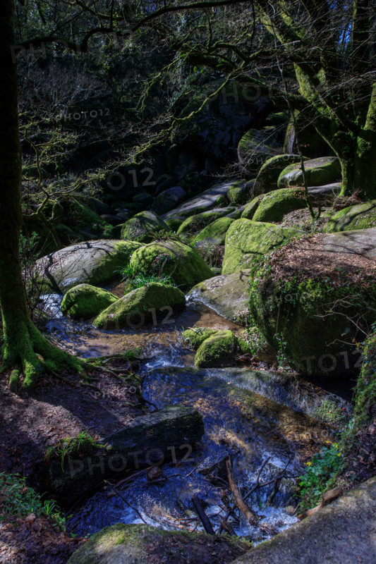 FRance, région Bretagne, Finistère, Huelgoat, les rochers, cahos de huelgoat,