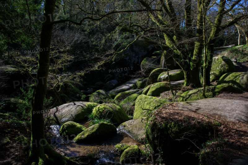 FRance, région Bretagne, Finistère, Huelgoat, les rochers, cahos de huelgoat,