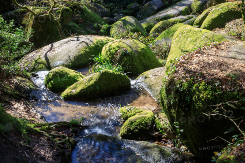 FRance, région Bretagne, Finistère, Huelgoat, les rochers, cahos de huelgoat,