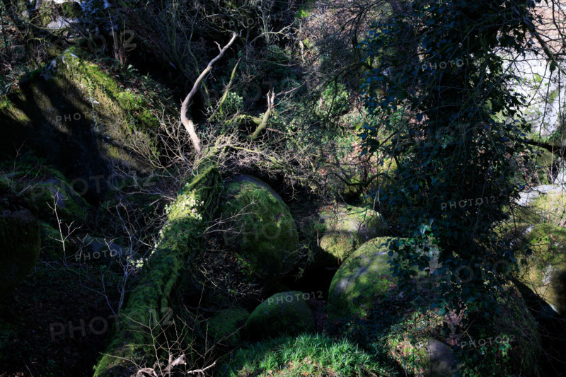 FRance, région Bretagne, Finistère, Huelgoat, les rochers, cahos de huelgoat,