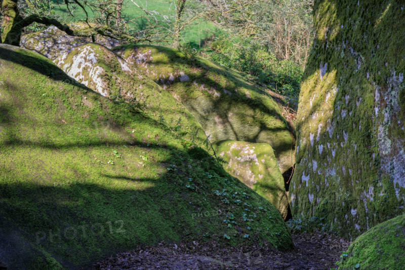 FRance, région Bretagne, Finistère, Huelgoat, les rochers, cahos de huelgoat,