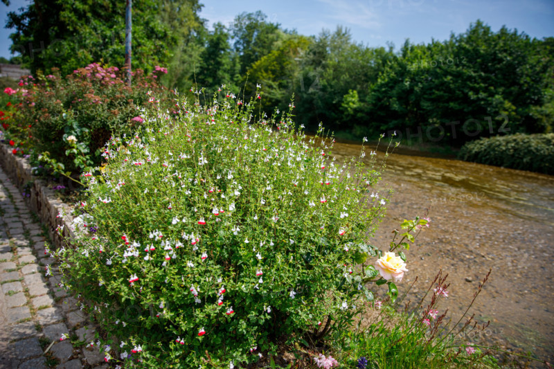 Veules-les-Roses, France