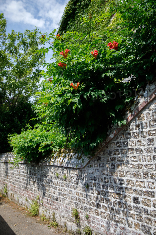 Veules-les-Roses, France