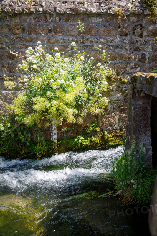 Veules-les-Roses, France