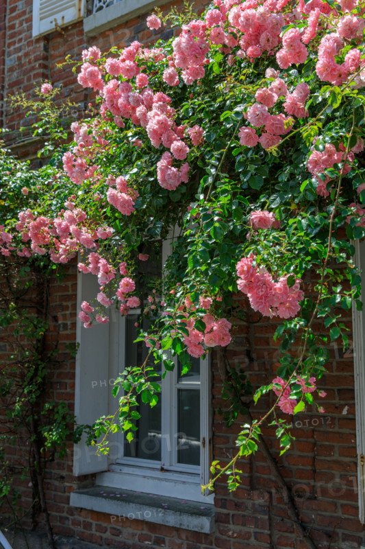 Veules-les-Roses, France