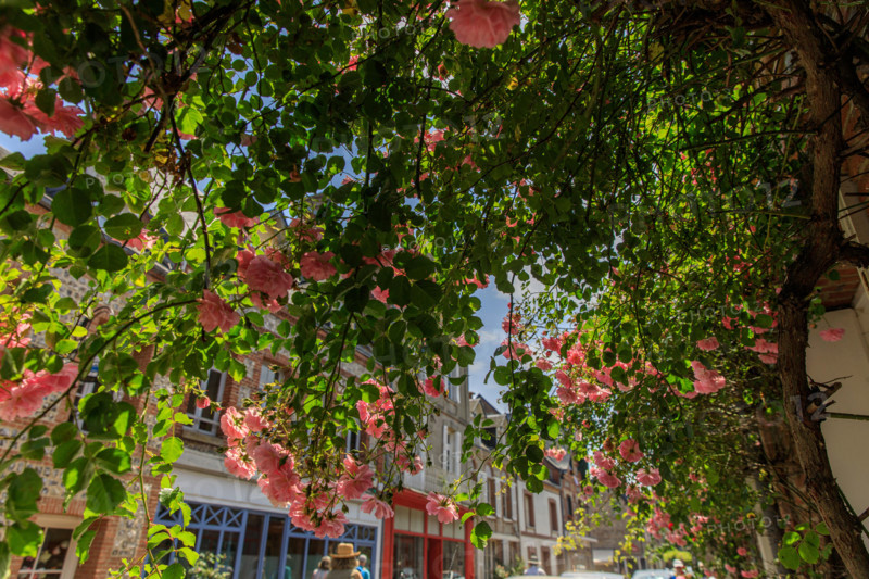Veules-les-Roses, France