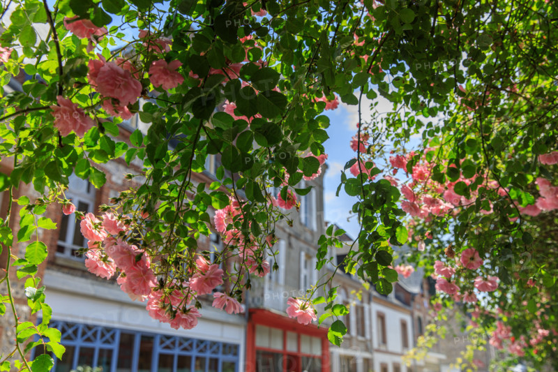 Veules-les-Roses, France