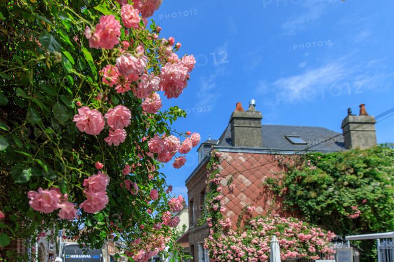 Veules-les-Roses, France