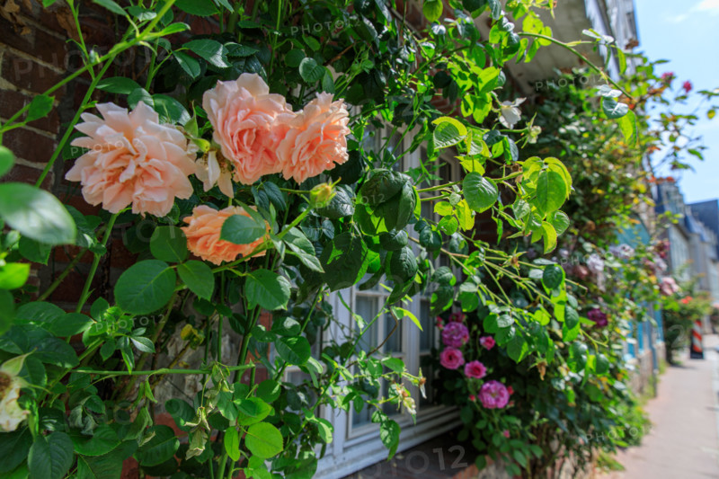 Veules-les-Roses, France
