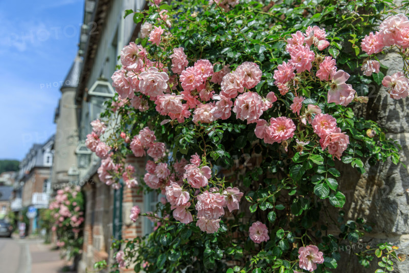 Veules-les-Roses, France