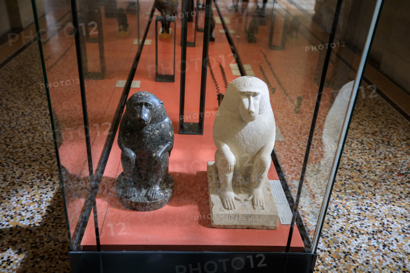 Louvre Museum, Paris, France