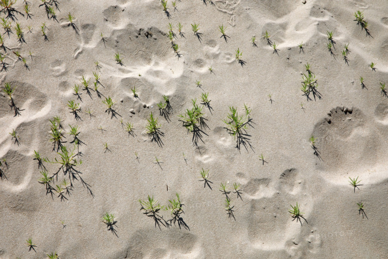 LeTouquet Paris-Plage, France