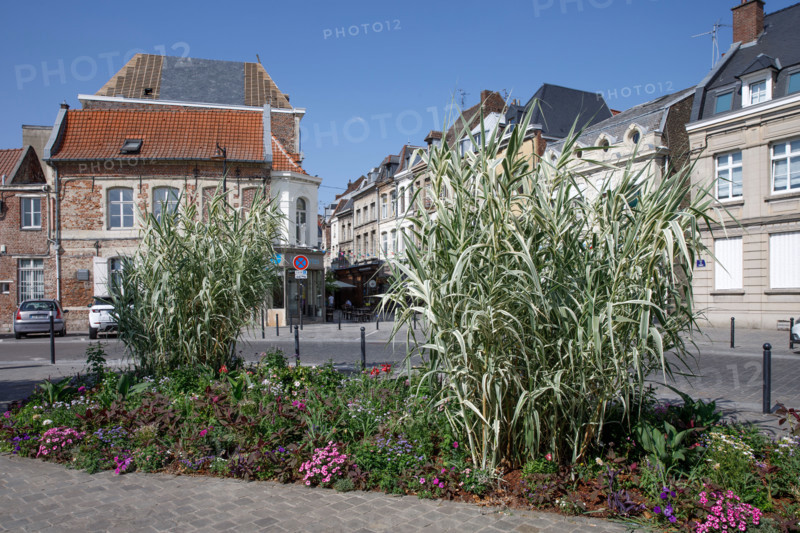 Valenciennes, France