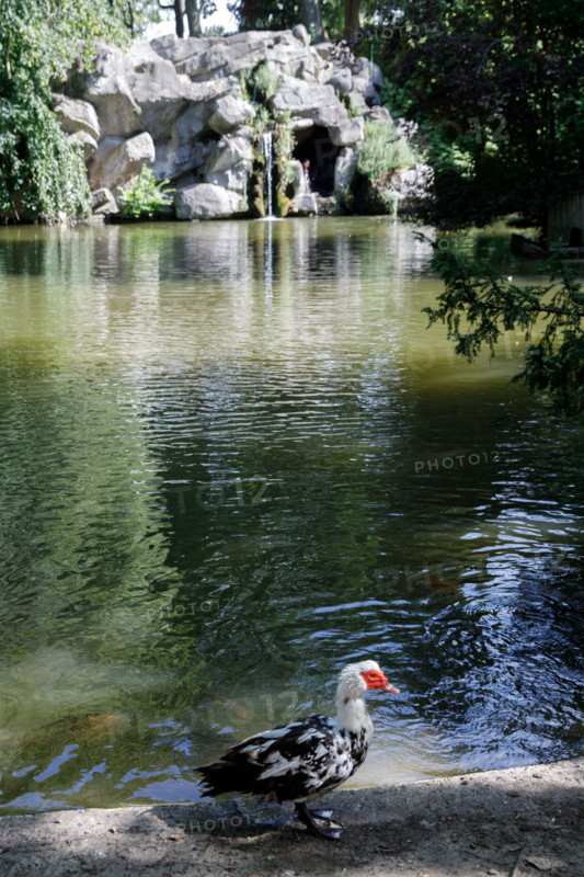 Valenciennes, France