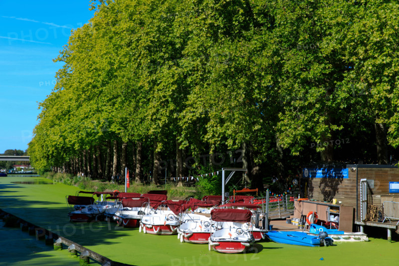 Grande braderie de Lille 2026