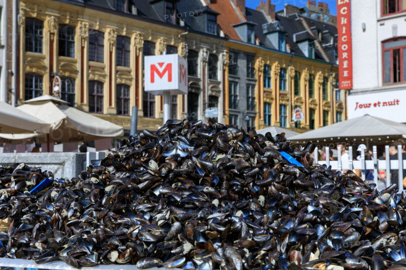 Grande braderie de Lille 2026
