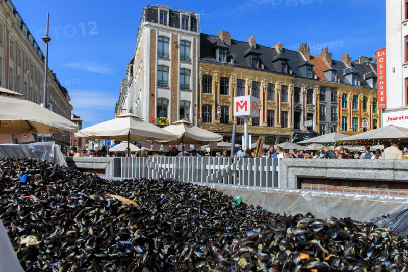 Grande braderie de Lille 2026