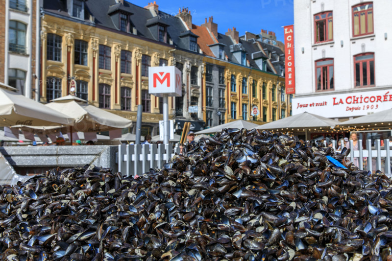 Grande braderie de Lille 2026