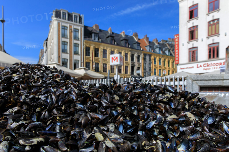 Grande braderie de Lille 2026
