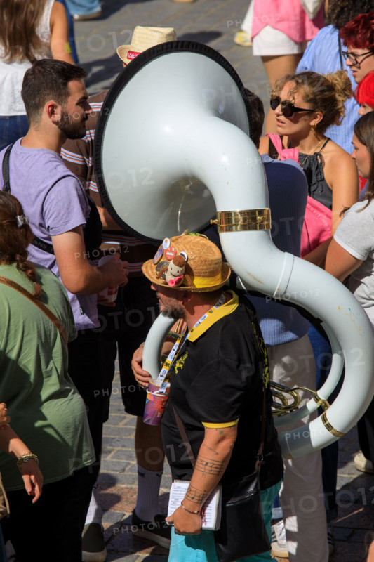 Grande braderie de Lille 2026