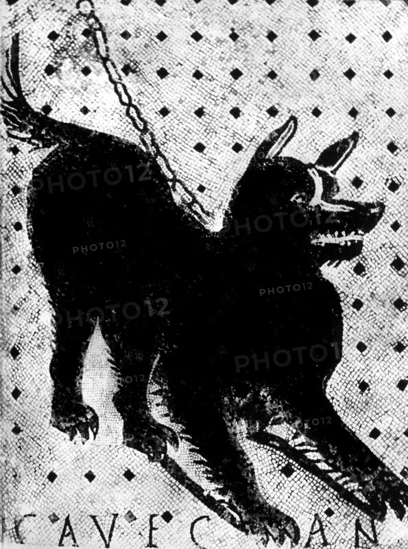Mosaïque des ruines de Pompeï - Attention au chien -