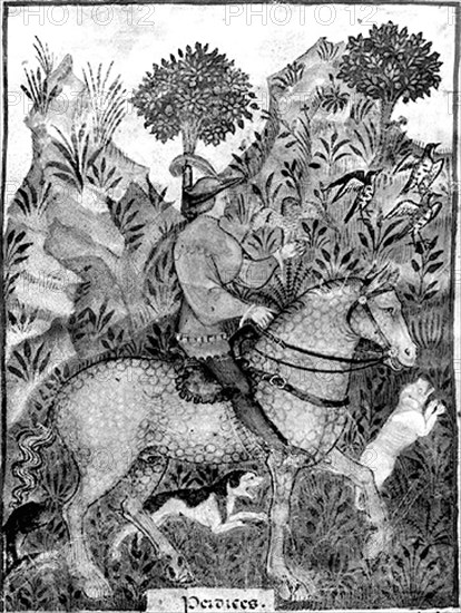 La chasse au faucon.