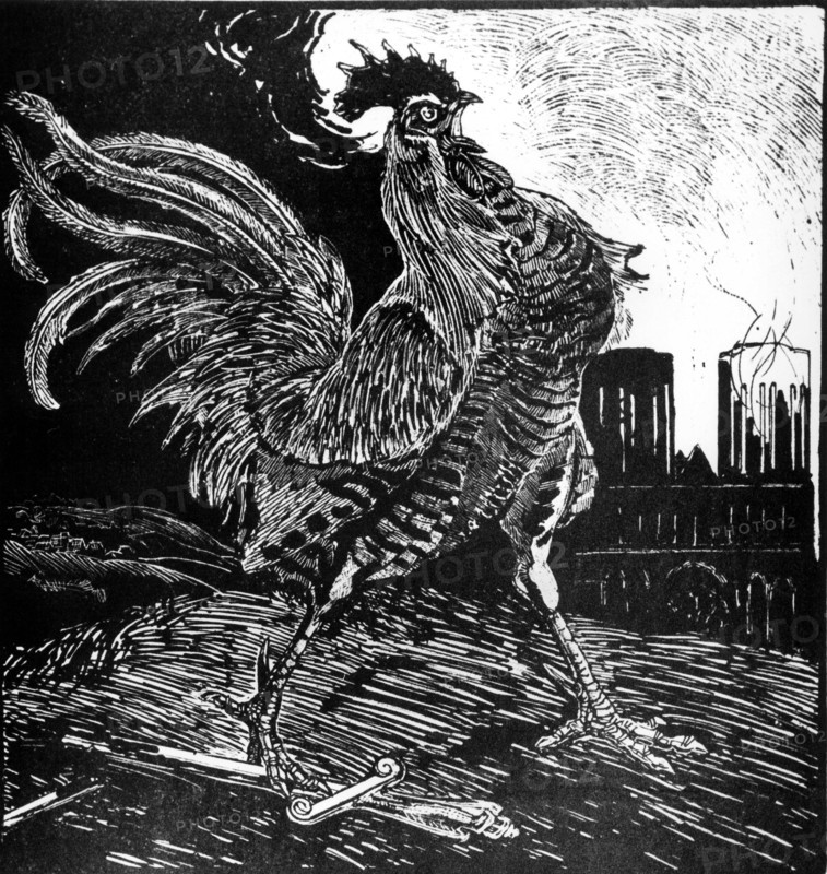The French Rooster in the war