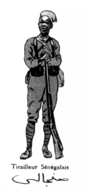Allied armies : Senegalese tirailleur