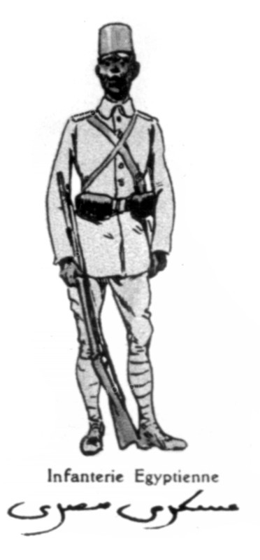Allied armies : Egyptian Infantry