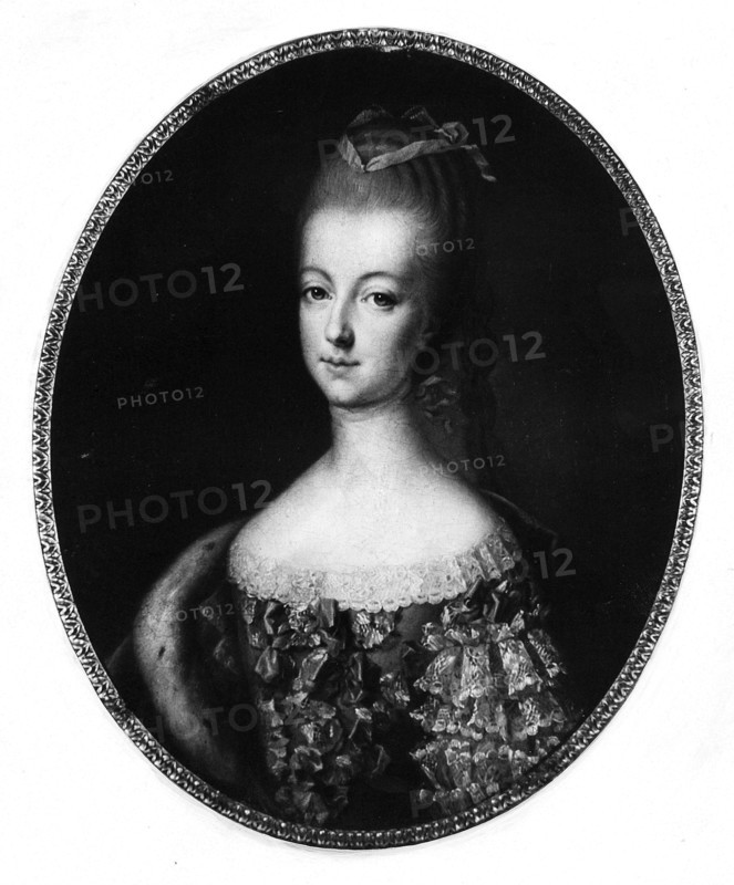 La Dauphine Marie-Antoinette