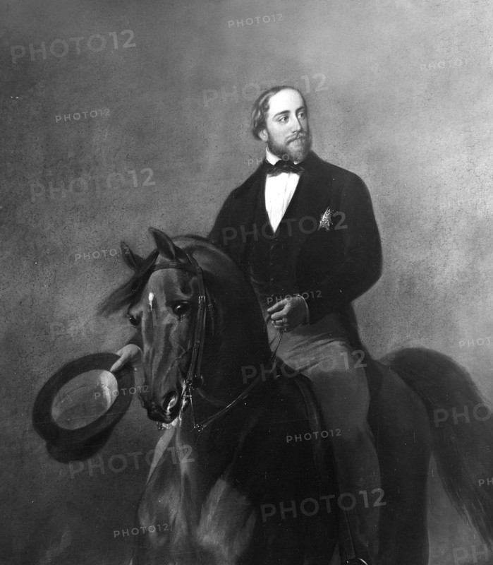 Henri de Bourbon, duke of Bordeaux, count de Chambord (1820-1883).