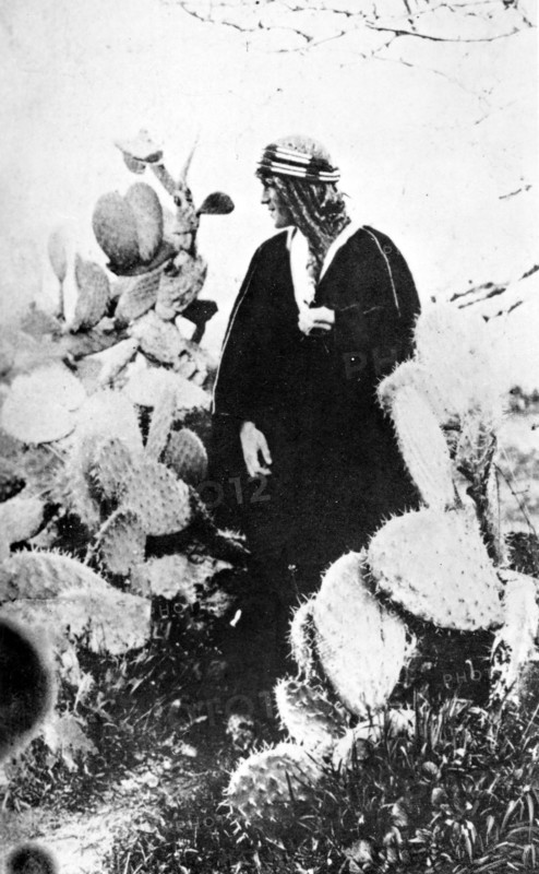 Le colonel Lawrence (Lawrence d'Arabie). Angleterre