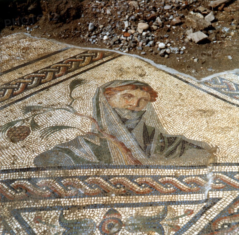 Mosaïque gallo-romaine , Vienne (Isère)