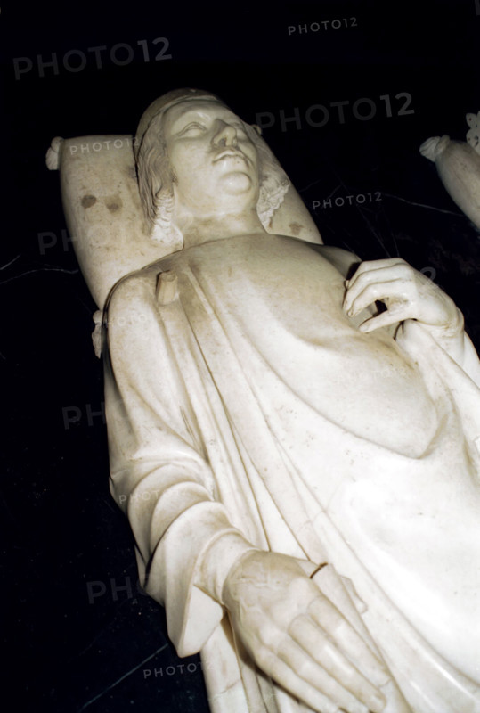 Charles V, dit le Sage, le Savant ou le Riche (1336-1380)