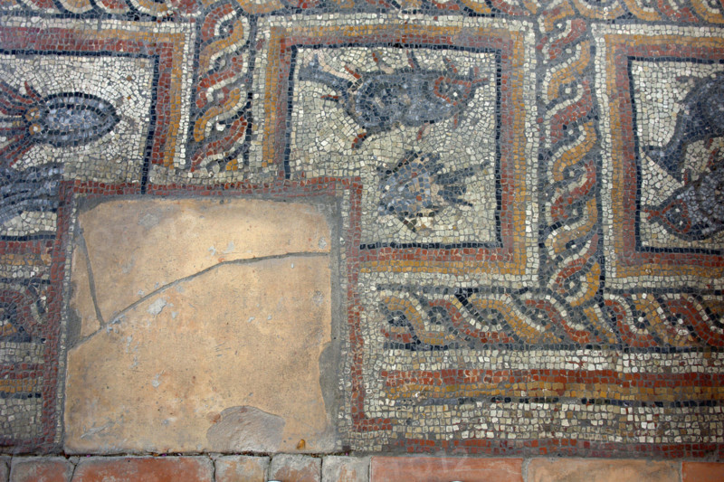Excavations in Montcaret