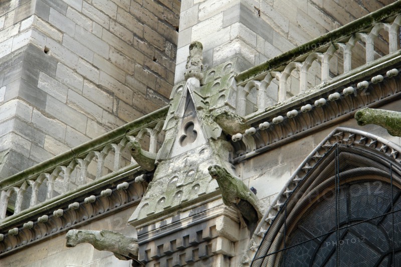 Notre-Dame Cathedral in Paris