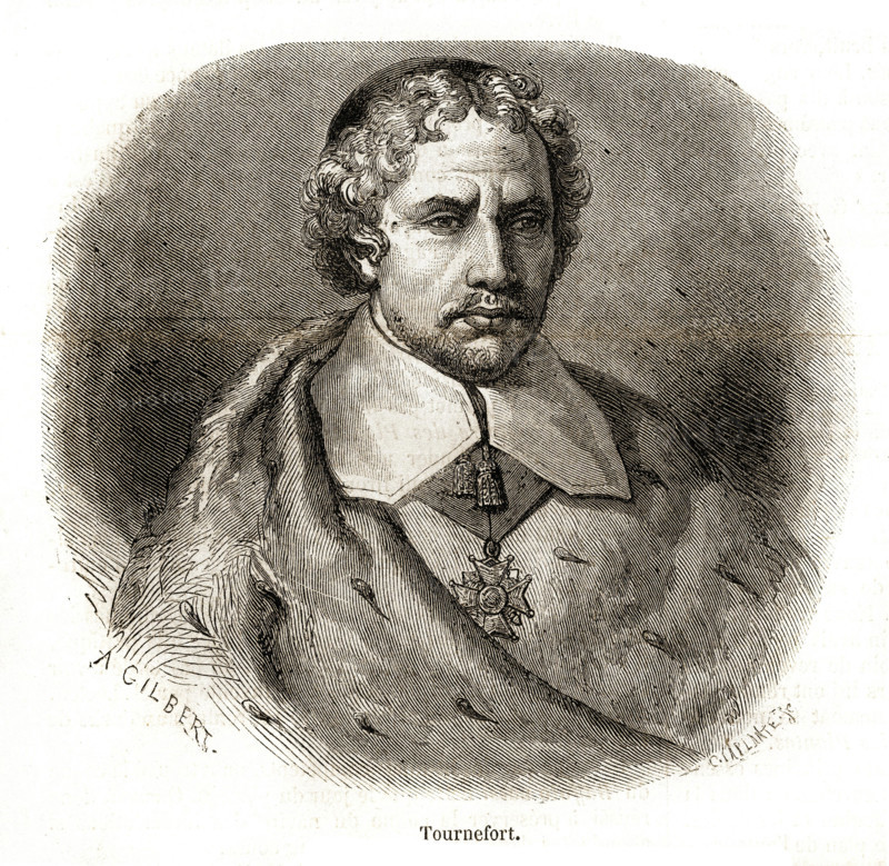 Joseph Pitton de Tournefort