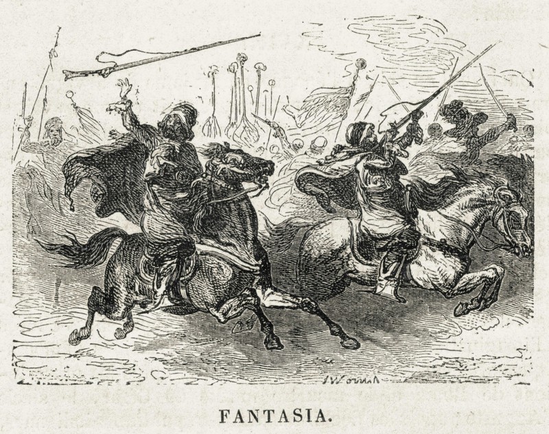 Fantasia. Chevaux. Maghreb. Algérie.