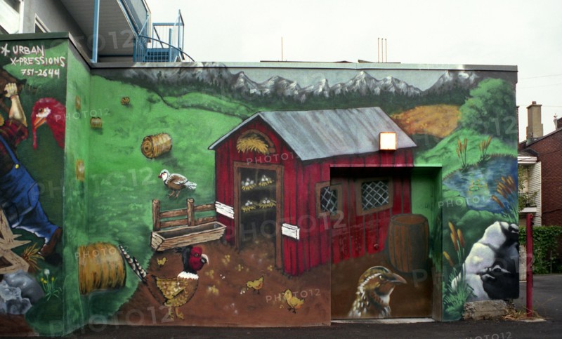 Montreal - Quebec. Popular Art. Street paintings.