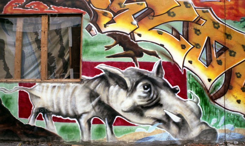 Montreal - Quebec. Popular Art. Street paintings.